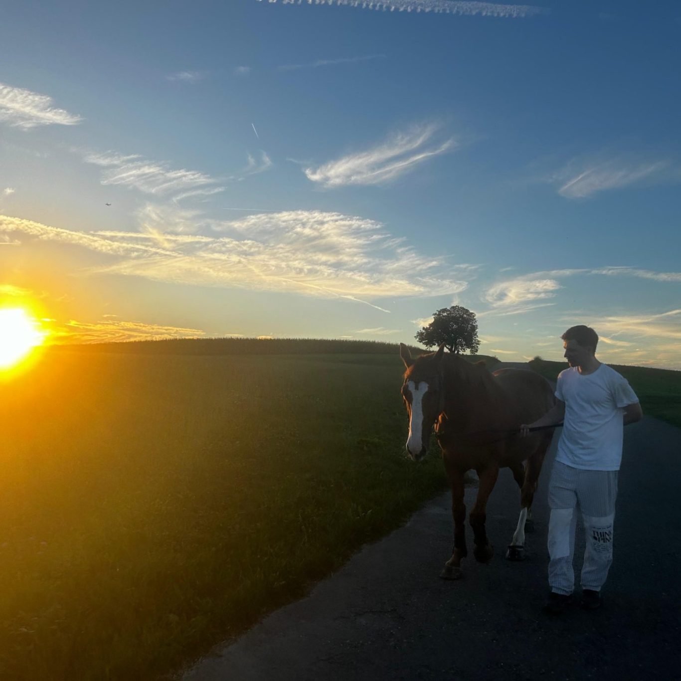 Bienestar del caballo. Biomecánica equina Una persona guía un caballo hacia el atardecer en un paisaje rural.